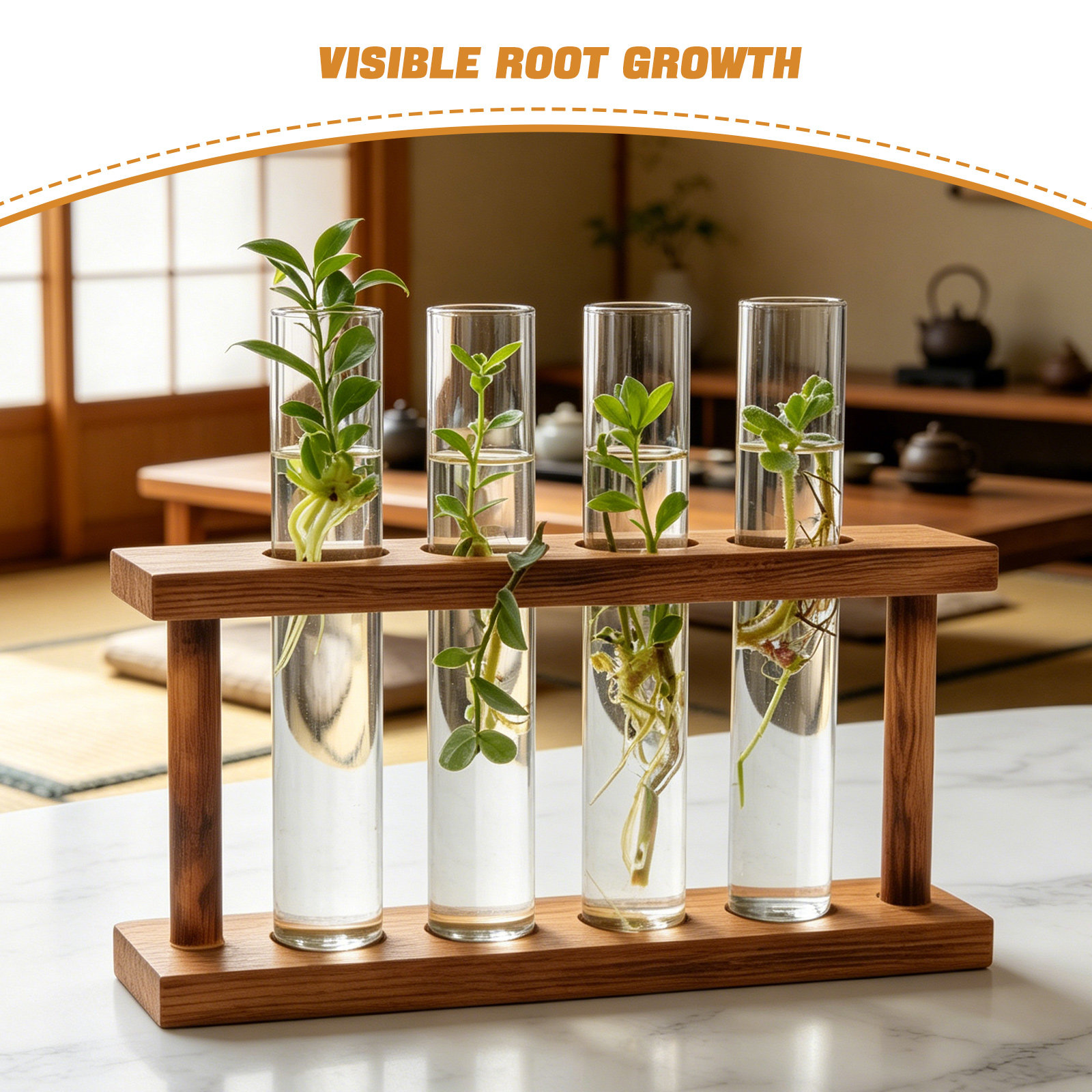 Wood Plant Propagation Station - Propagation Station Vase 评论和价格