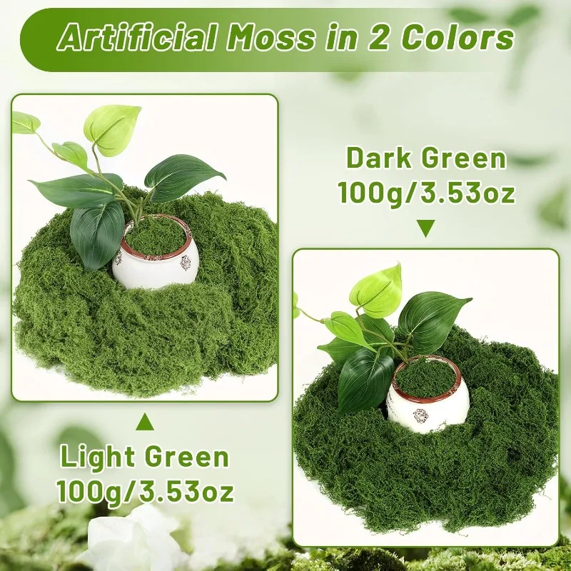 Eternal Life Moss Grass Artifi - Sphagnum Moss Dry 评论和价格
