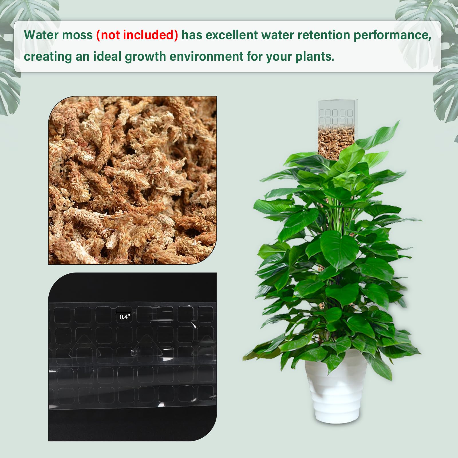 Moss Pole Plastic Plant Stand  - Sphagnum Moss Dry 评论和价格